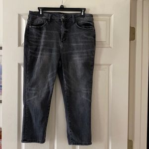 Judy Blue Skinny Fit Capri